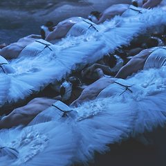 경험담(經驗談) 썸네일