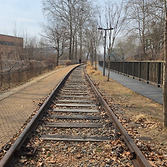 격국이 우선인가? 조후가 우선인가? 썸네일