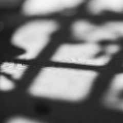 꼬리 옮기기 연습 썸네일