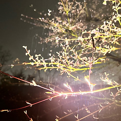 낯선 버스 번호가 데려다 준 뜻밖의 정류장 썸네일