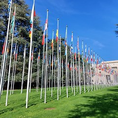 지정학적 격변과 고려인의 선택 썸네일