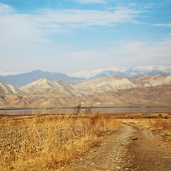 한국으로 간 고려인, 그 후 썸네일