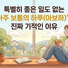 특별히 좋은 일도 없는 '아주 보통의 하루(아보하) 썸네일