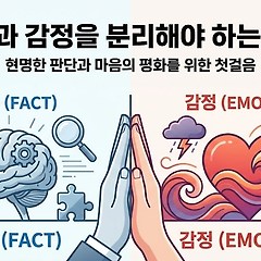 사실과 감정을 분리해야 하는 5가지 이유 썸네일
