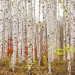 창작의 문턱을 넘는 실전 가이드 2 썸네일