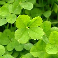  창작의 문턱을 넘는 실전 가이드 1 썸네일