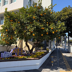 AI시대 제주 변호사 되어 보기 썸네일