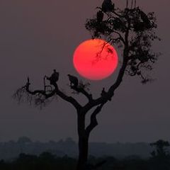 [비평의 뒷면, 해석되지 않는 밤의 기록] 썸네일