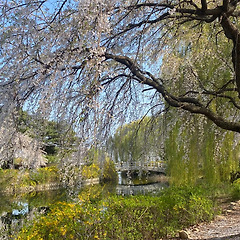 오늘은 나의 봄소풍 썸네일