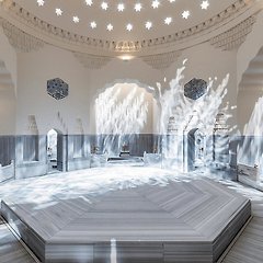 그들의 자부심, 고양이와 목욕탕 썸네일