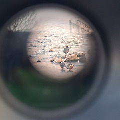 이름 모를 새를 기다리며 썸네일