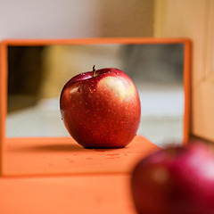 나는... 엄마를 닮지 않기로 했다. 썸네일