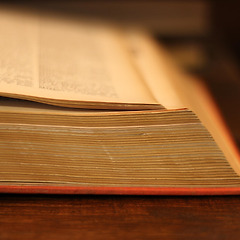 나만의 언어를 찾는 방법 썸네일