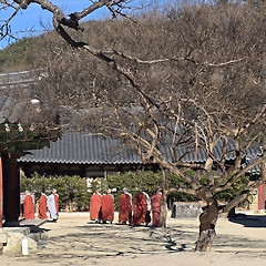 연안 생태계의 보고 순천만 습지와 순천 인문 여행 썸네일