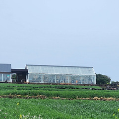 제주에서 살아남기 썸네일