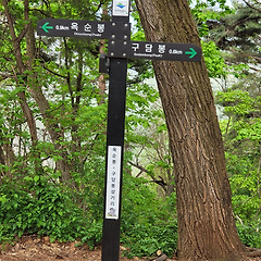 조선 최고의 경관 학자, 진경산수 비평을 개척하다 썸네일