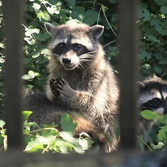 “후배에게 혼난 날" 그다음 이야기 썸네일