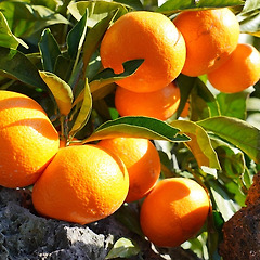 살아야 마땅한 썸네일