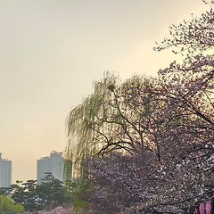 다시 원점 썸네일