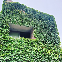 누구에게나 말못할 사연은 있다. ④ 썸네일