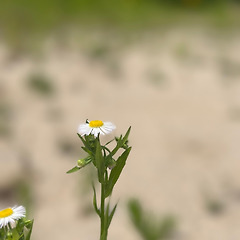 각자만의 힘듦을 버티는 방법 ③ 썸네일