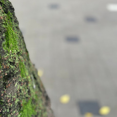 직장생활에서 동료란? 썸네일