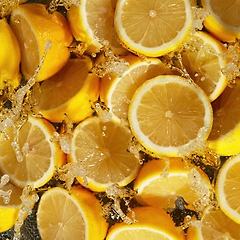 삶에 의미가 있기를 바라는 마음  썸네일