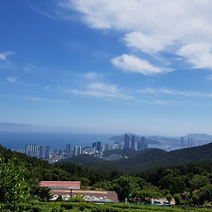 지하철의 적자와 갈등을 해결할 "솔로몬의 지혜"  썸네일