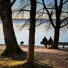 성적이 좋지 않은 아이는 부모님의 은혜에 보답하러 온  썸네일