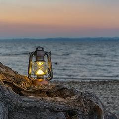 3막 봄꽃 축제 썸네일