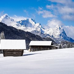세상의 환희 썸네일