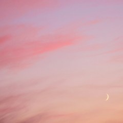 버팀의 대가 썸네일