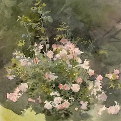 [Day 4] 의식적으로 집중하기 썸네일