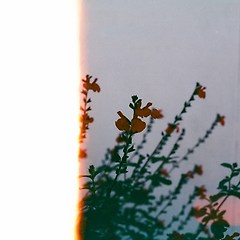 흠이라면 흠이 되자. 썸네일