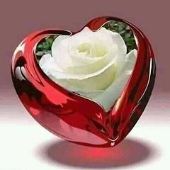 사랑의 기술 - 20 썸네일