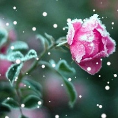 사랑의 기술 - 10 썸네일