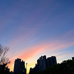 익숙한 길 하나 썸네일