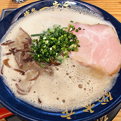 [후쿠오카/멤버십] 거품라멘의 시작점 썸네일