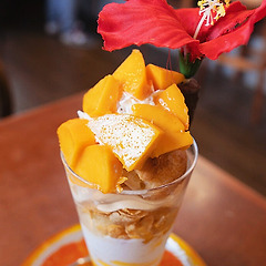 [아키타/멤버십] 토토로가 반한 과일가게 썸네일