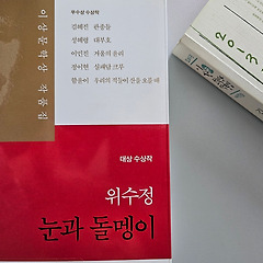 내향성 관종은 세상을 이렇게 본다  썸네일