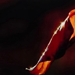 바람이 지나간 자리 썸네일