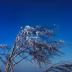시간은 바람처럼 썸네일