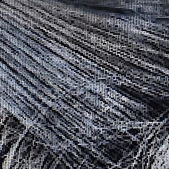 흰 머리 한 올에 썸네일