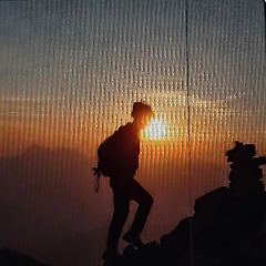 당신은 아직 늦지 않았다 썸네일