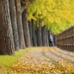 미로 같은 골목에서 썸네일