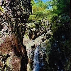 산은 나를 빗질한다 썸네일