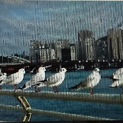 자갈치 시장 썸네일