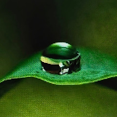 눈물의 강에서 썸네일