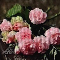 이제서야 썸네일