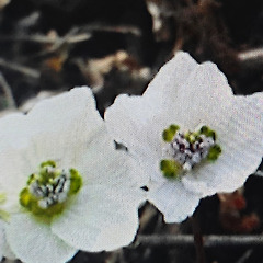 바람에게서 배운 것 썸네일